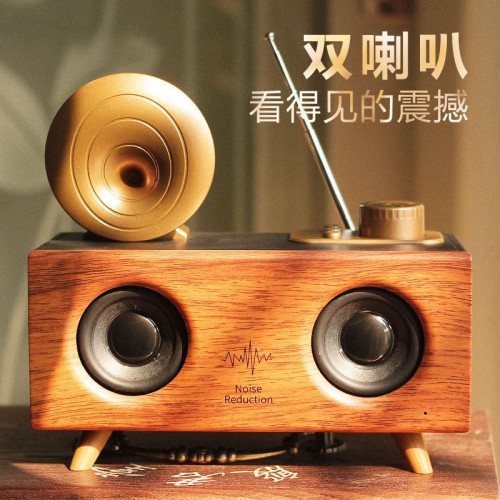 Portable Wireless Bluetooth Speaker with Subwoofer